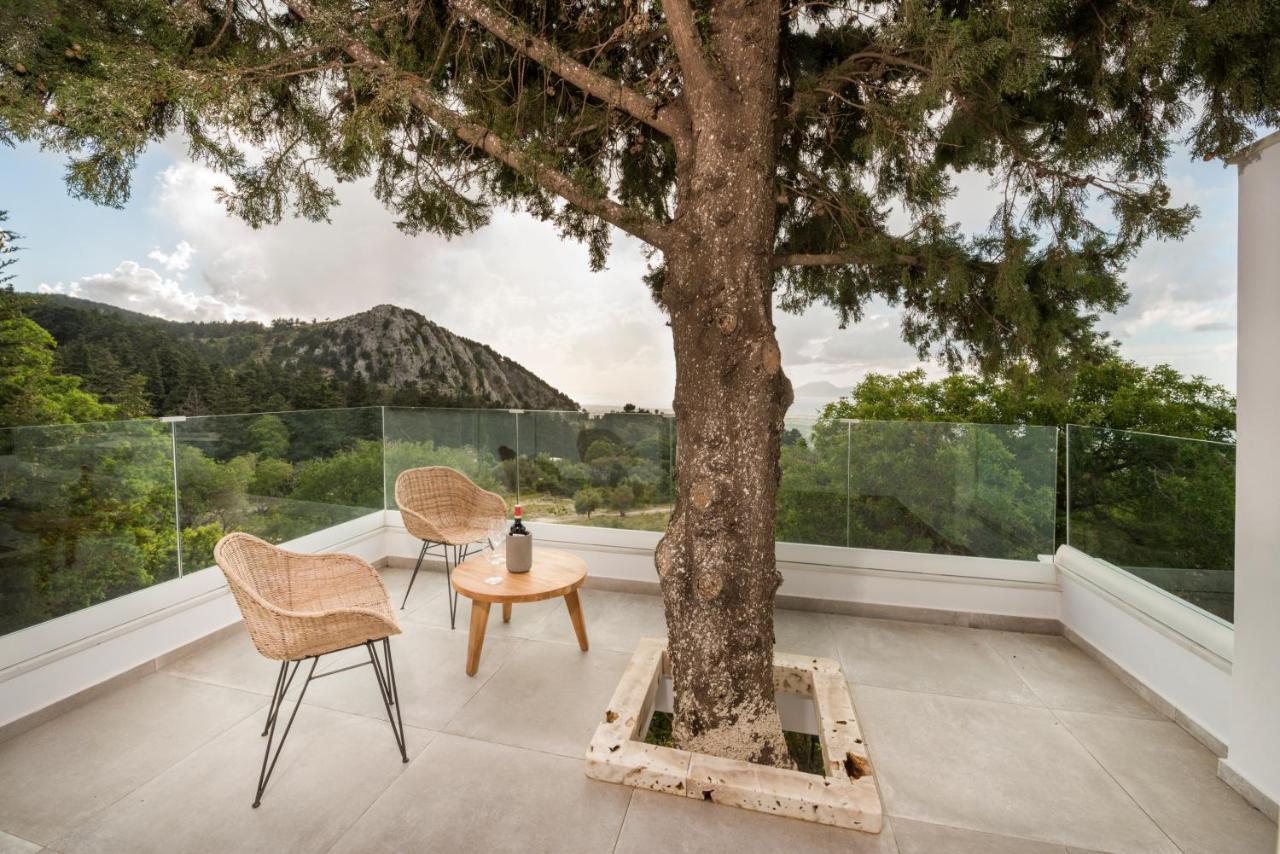 Forest View Villas 1 Lagoudi Zia Exteriör bild