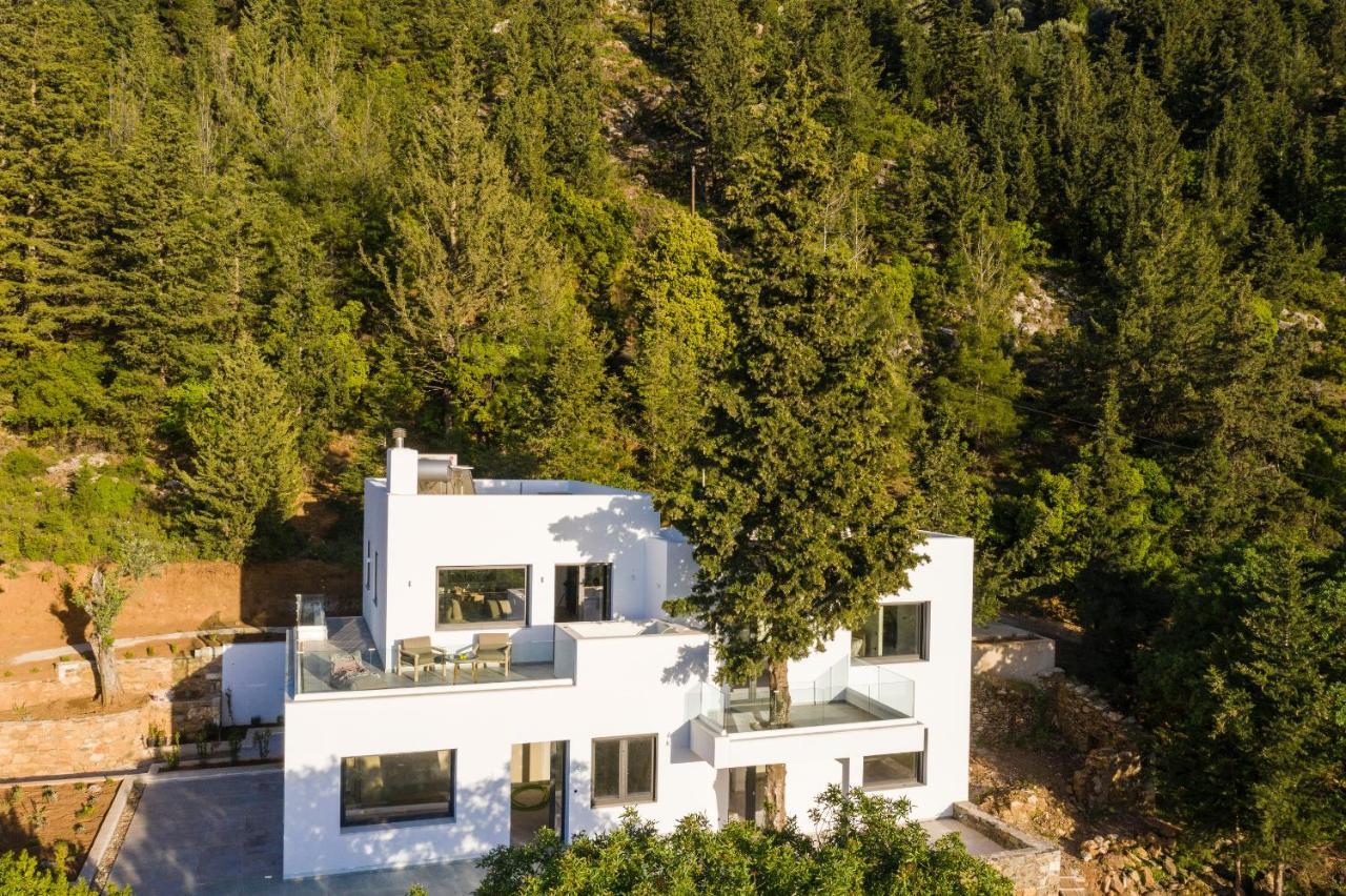 Forest View Villas 1 Lagoudi Zia Exteriör bild